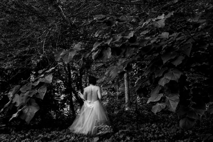 hawkesdene North Carolina