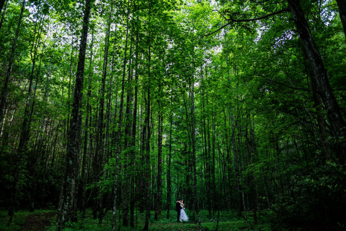 Hawkesdene wedding bride groom