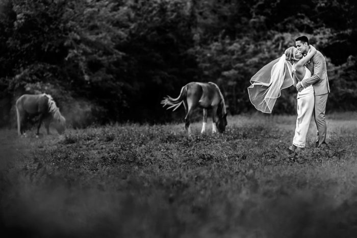Puerto Rico wedding horses