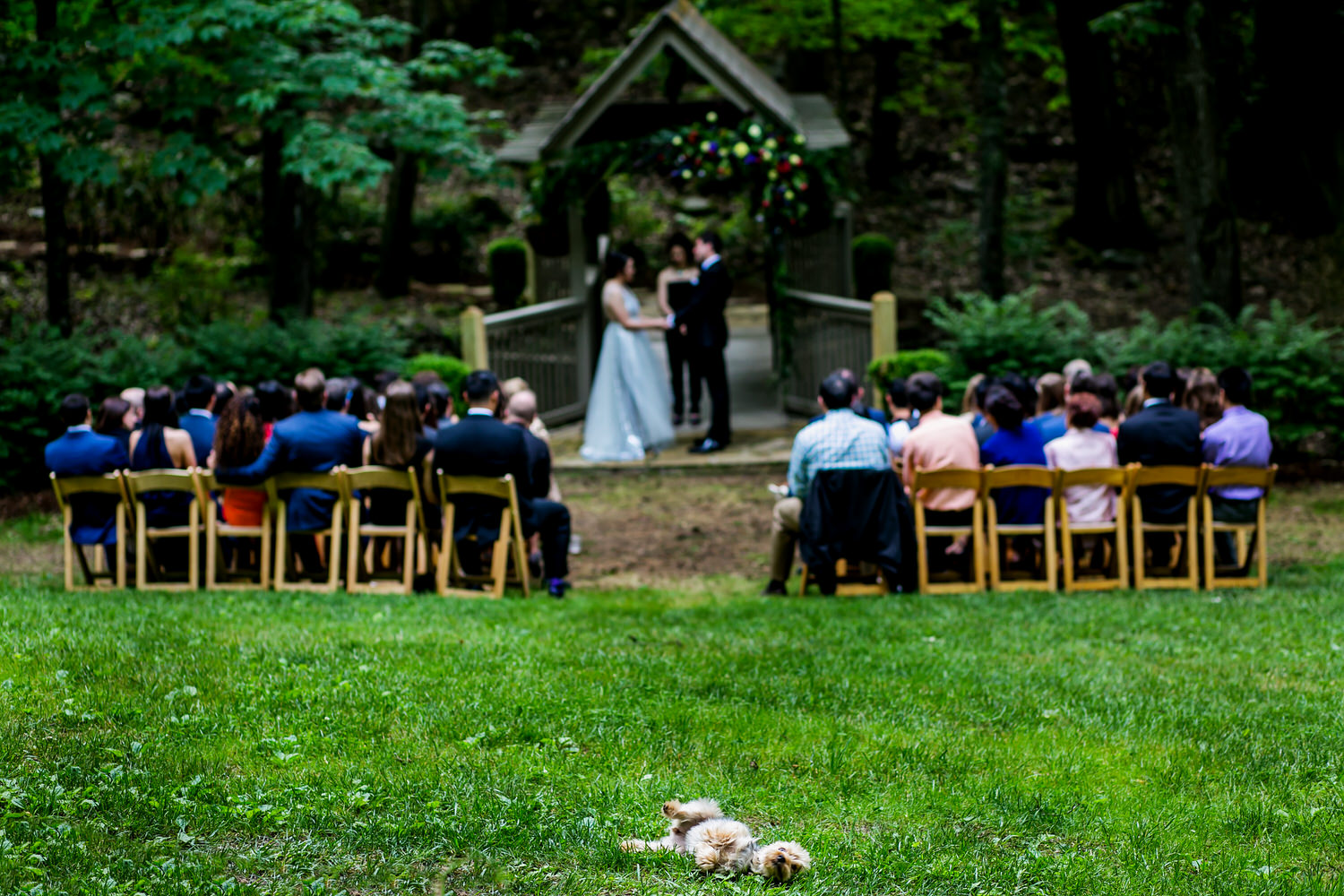 Outdoor wedding ceremony at Hawkesdene Estate