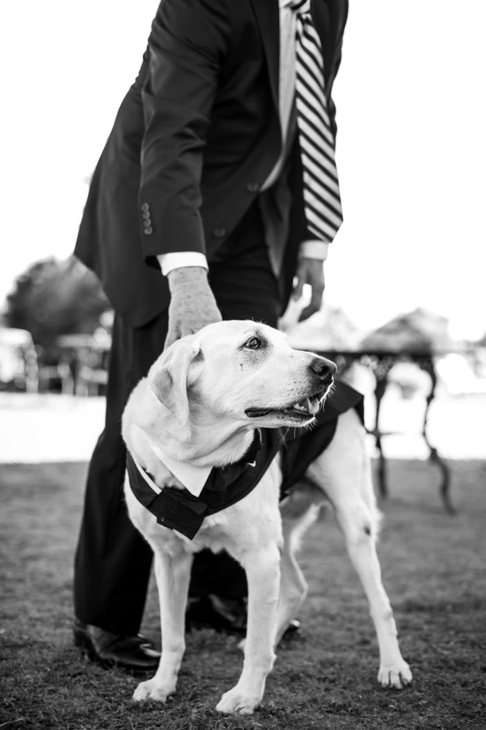 le san michele buda texas